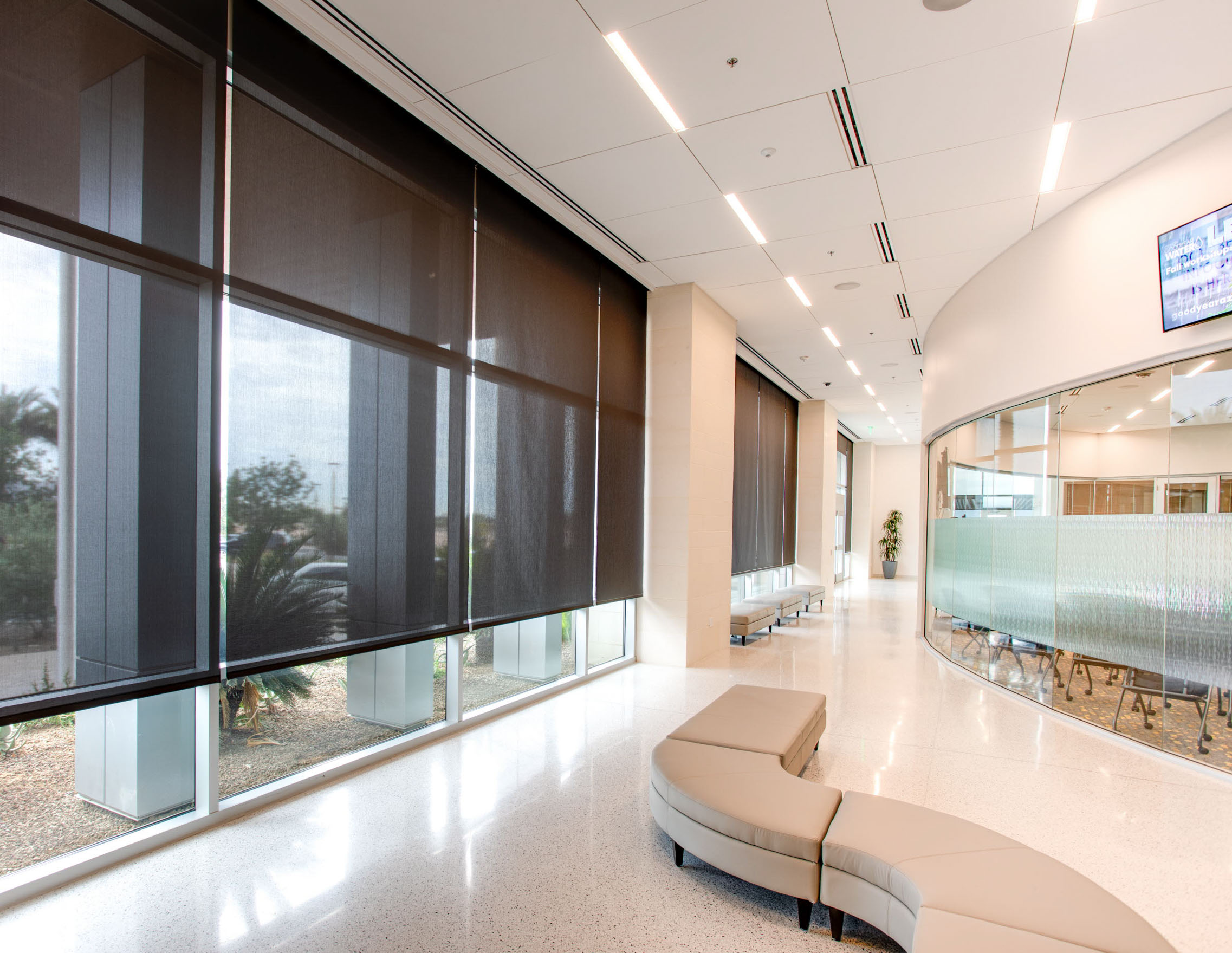 Modern office lobby with floor-to-ceiling windows, roller shades, and a curved glass conference room wall allowing filtered natural light.