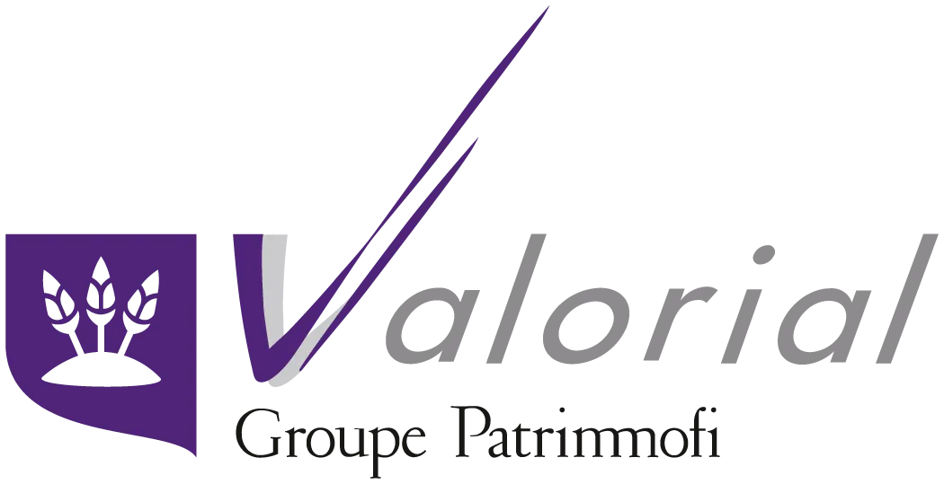 Logo of Valorial