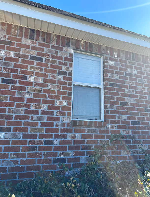 Double Hung Windows Installation New Orleans