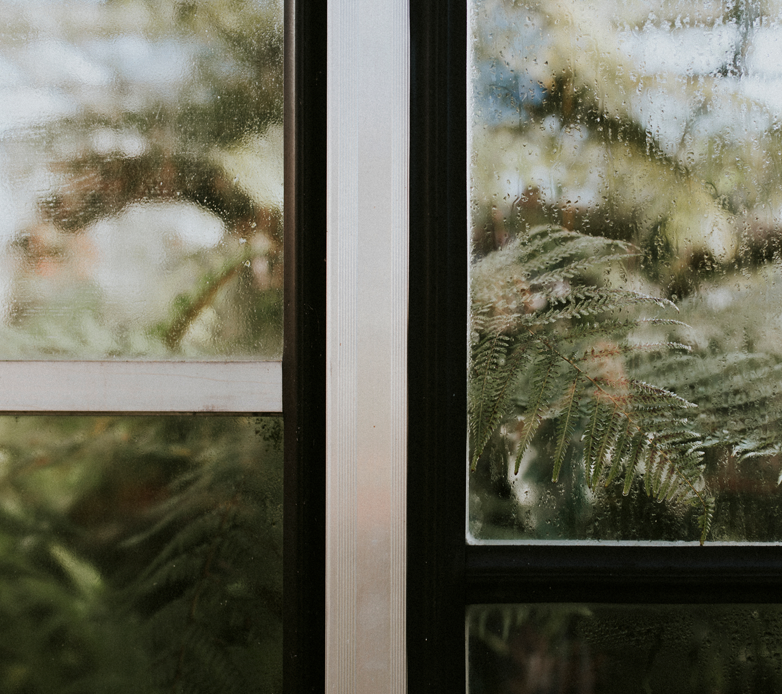 Best Impact Replacement Windows New Orleans