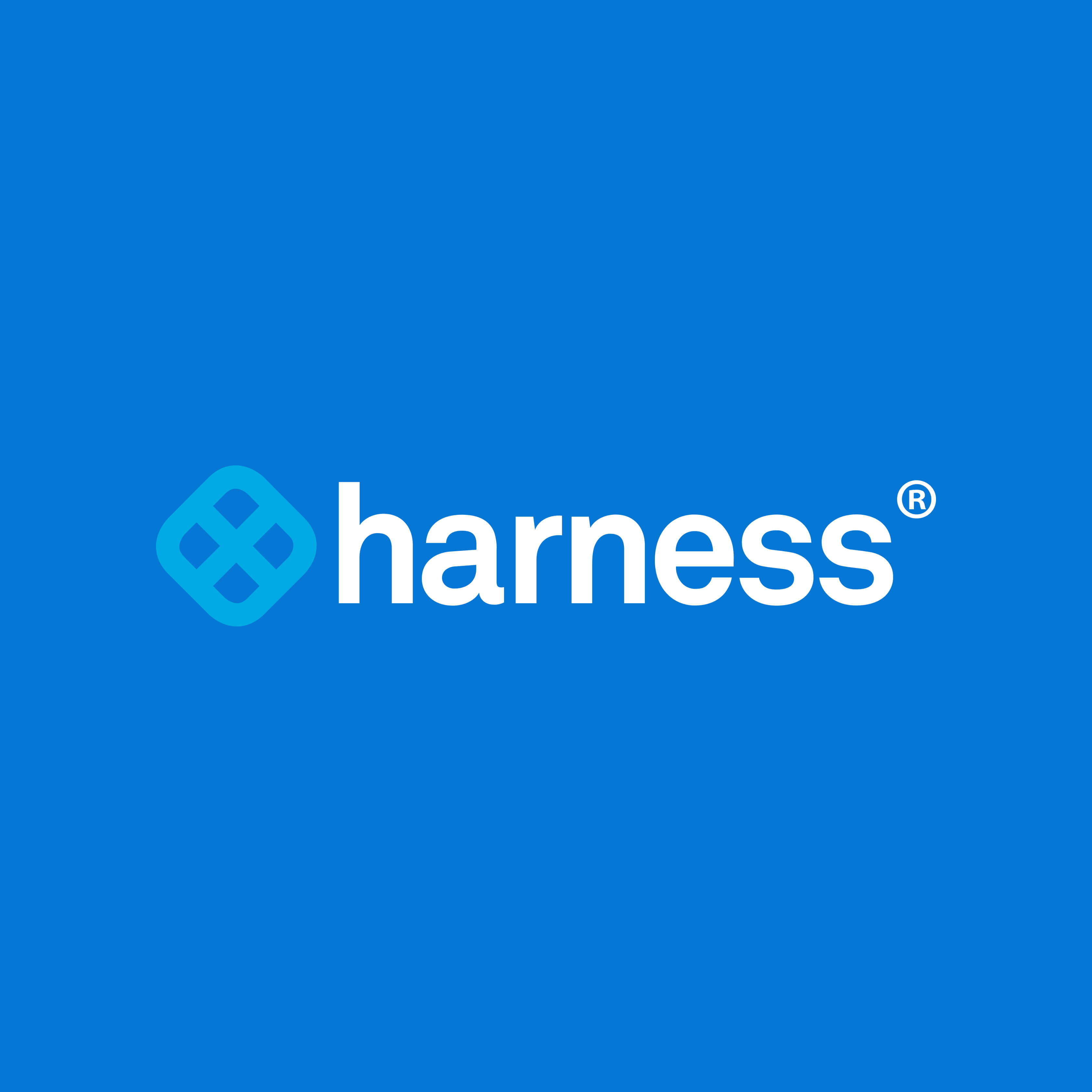 Harness 