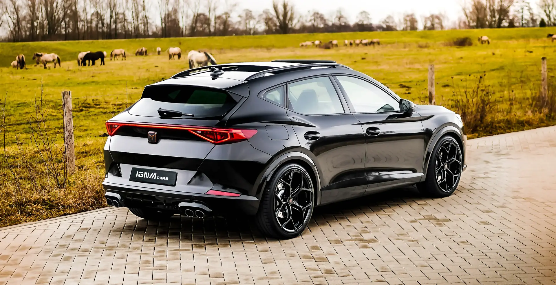Zwarte sportieve SUV geparkeerd op stenen weg met een weiland en grazende paarden op de achtergrond.