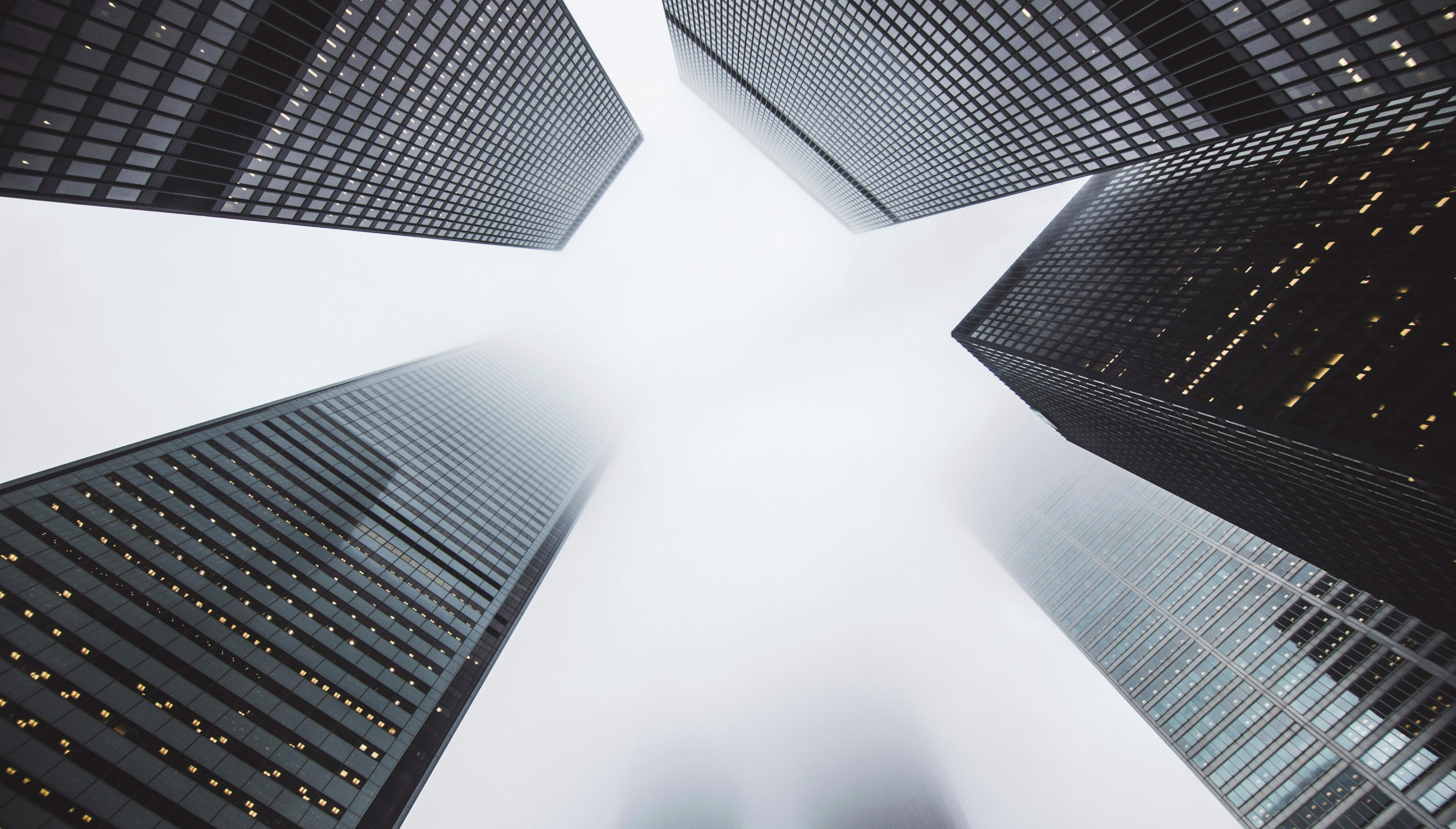 City buildings (illustration)