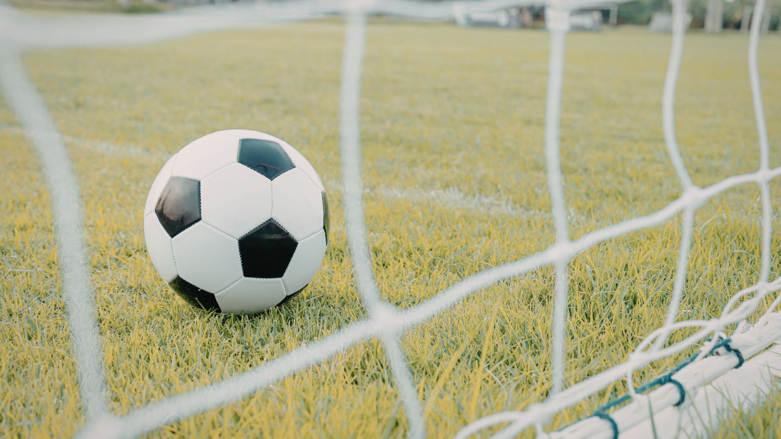 Football resting inside the goal net on a green pitch, symbolising a scored goal and goal-focused match analysis.