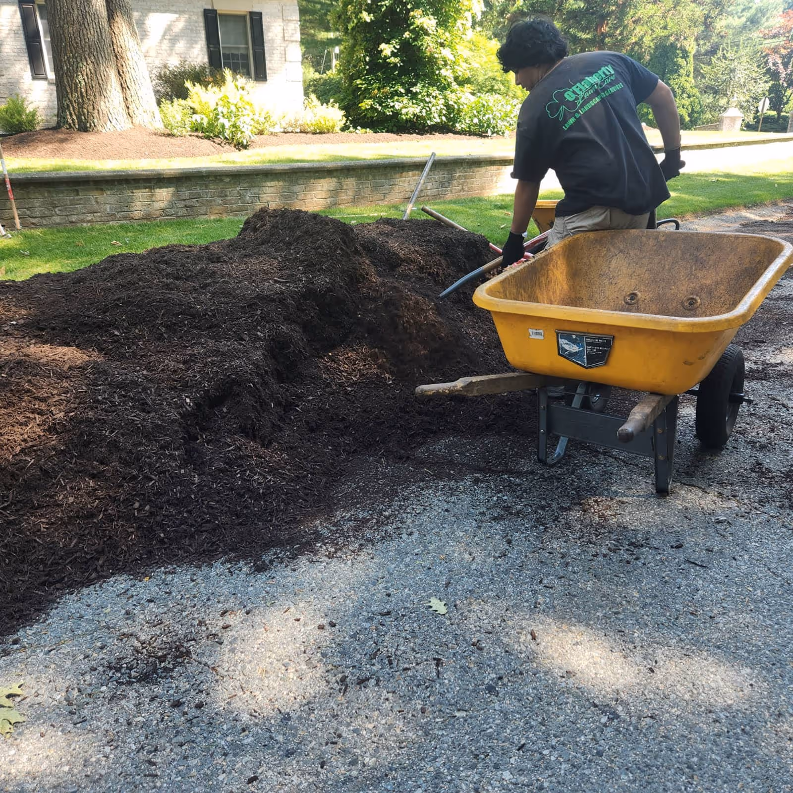 Professional mulch installation near me for landscaping upgrades