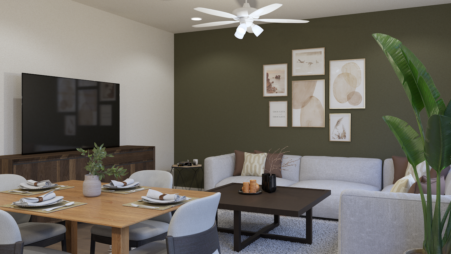 Fully furnished living room