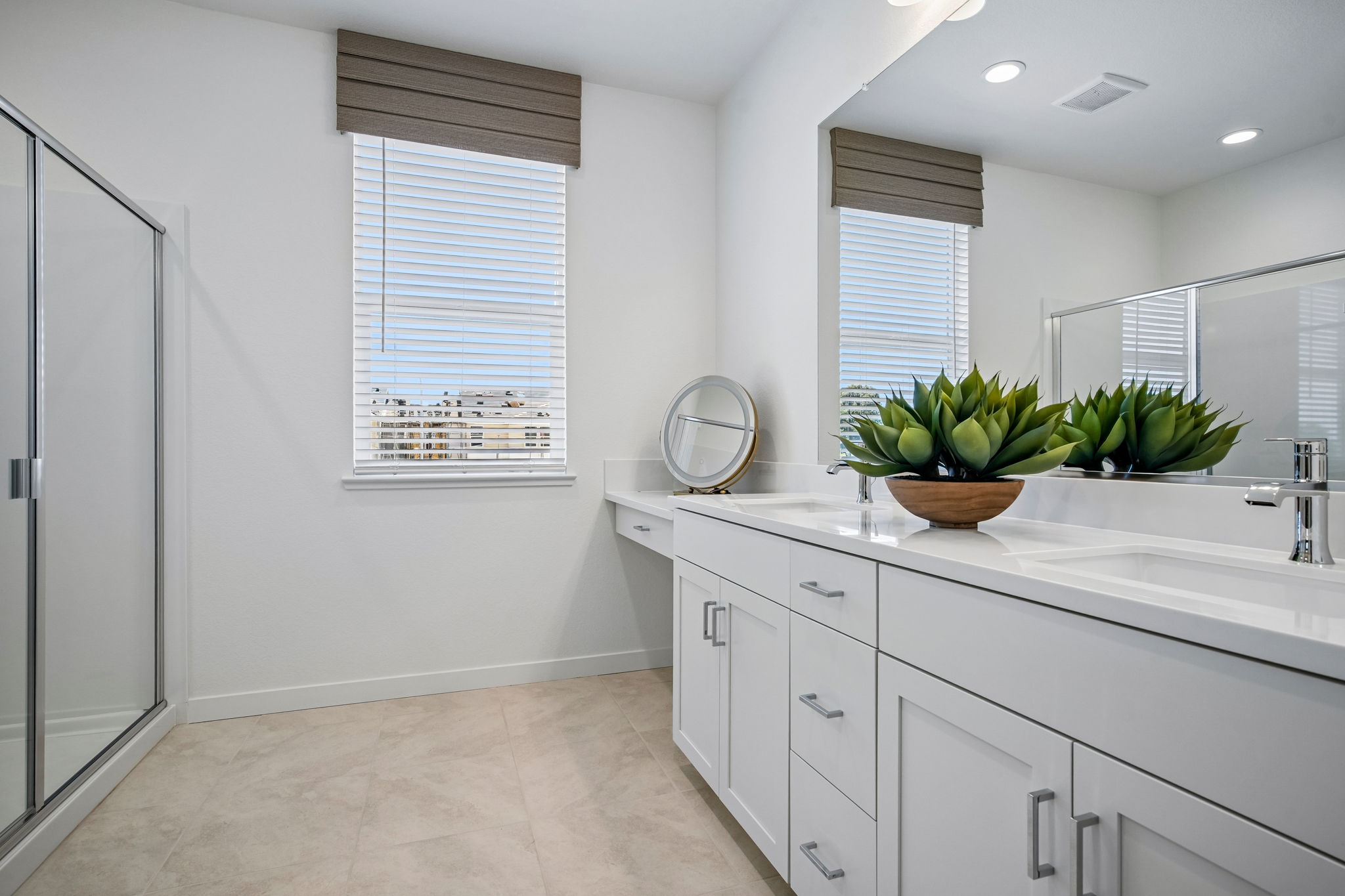 Bathroom with white vanity with mirror and walk in shower