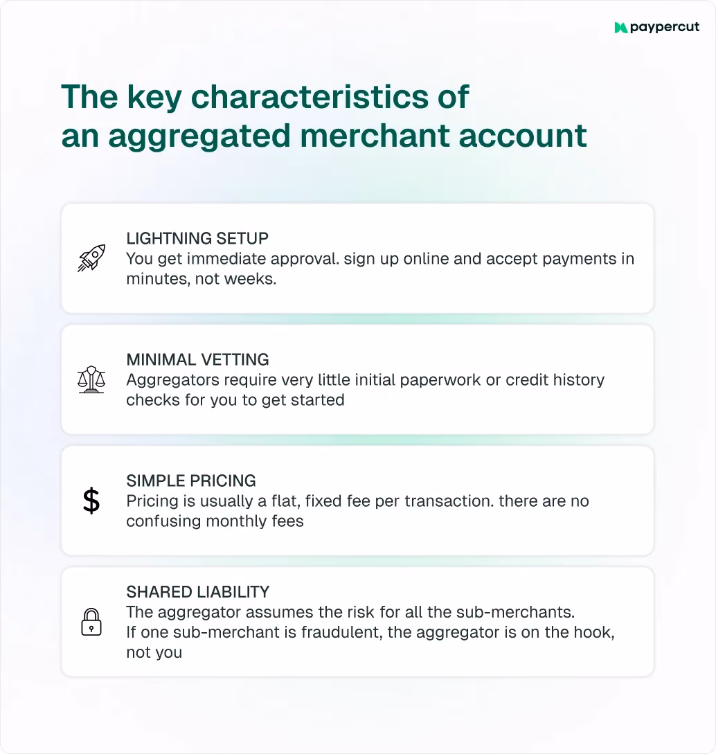 characteristics-of-aggregated-merchant-account