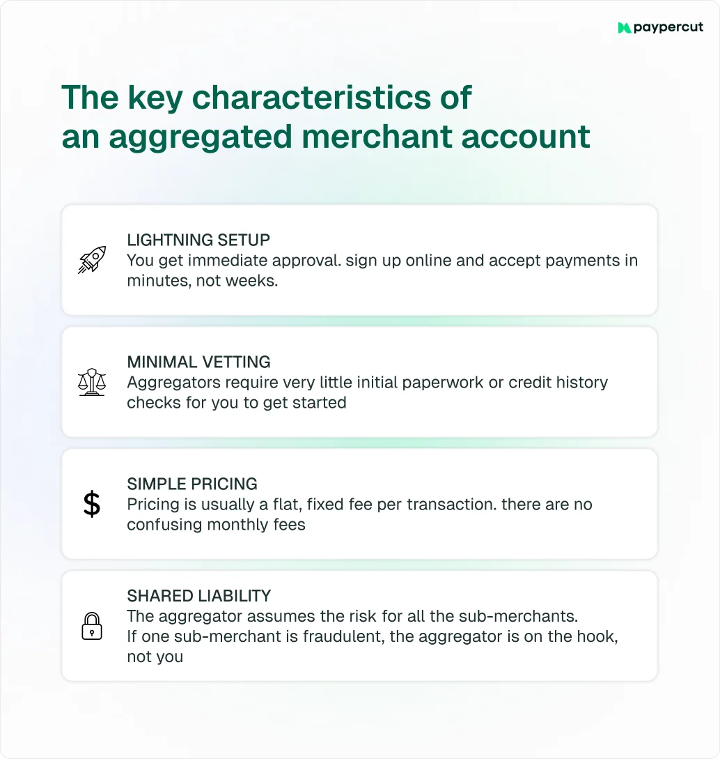 characteristics-of-aggregated-merchant-account