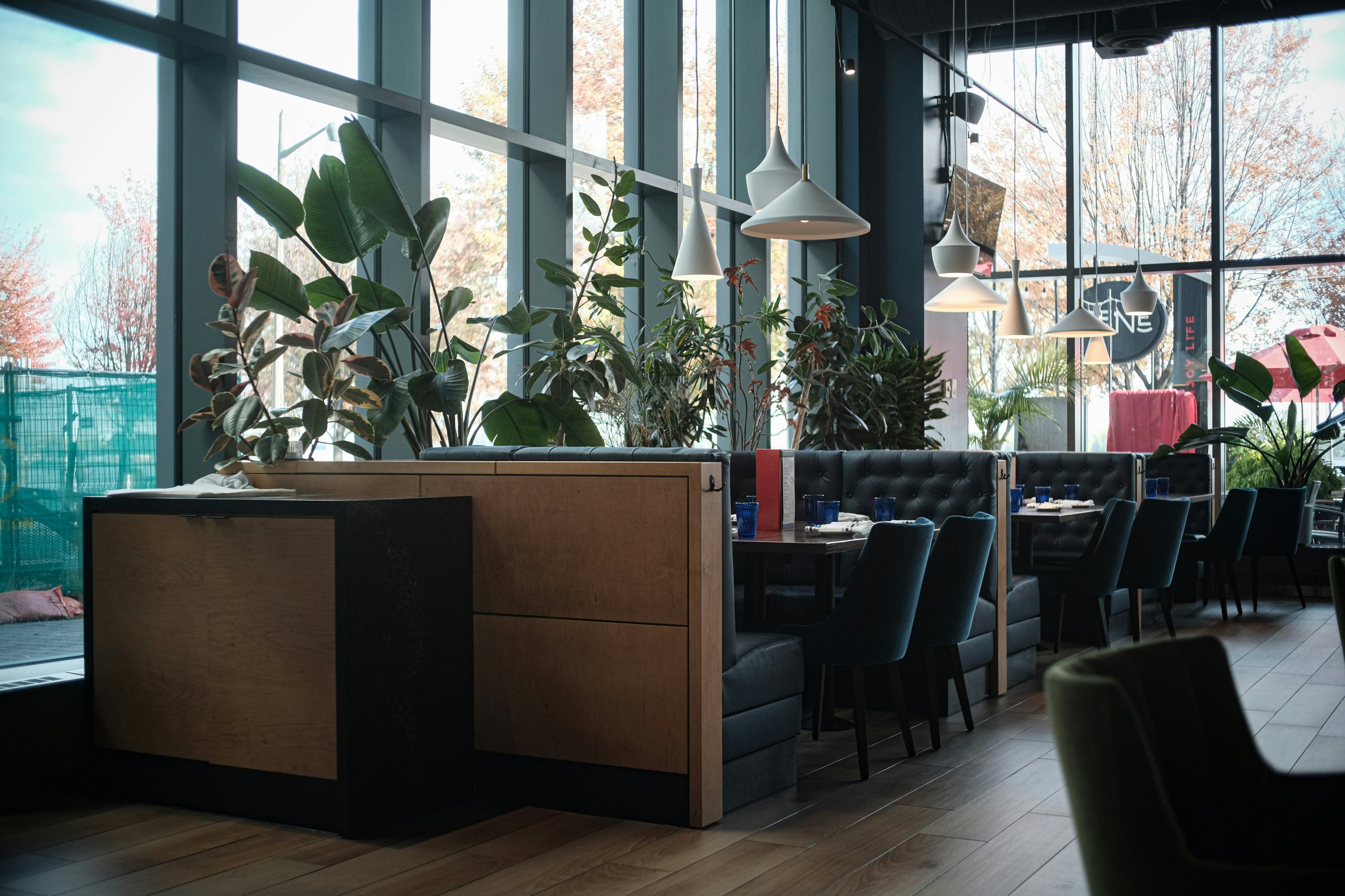 Modern restaurant interior with plants, large windows, and hanging lights
