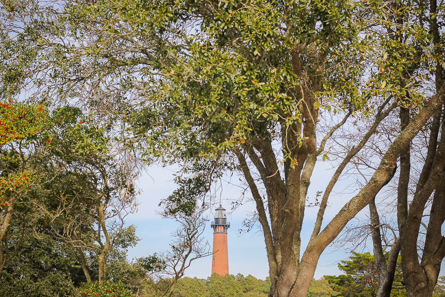 Corolla lighthouse seen through thick tree branches and green foliage under a clear sky.