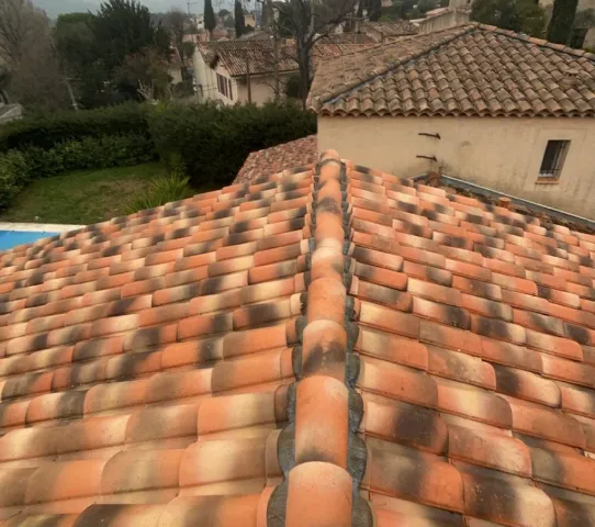 Toiture en tuiles rouges avec des traces noires, vue en plongée depuis le faîte du toit vers des maisons et un jardin à l'arrière.