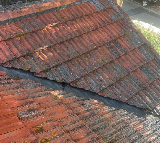 nettoyage toiture la ciotat demoussage