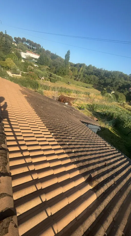 nettoyage démoussage toiture marseille 