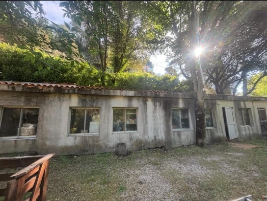 Façade extérieure d'une maison avec volets blancs ouverts, un mur en béton et des arbres verts sous un ciel bleu clair.