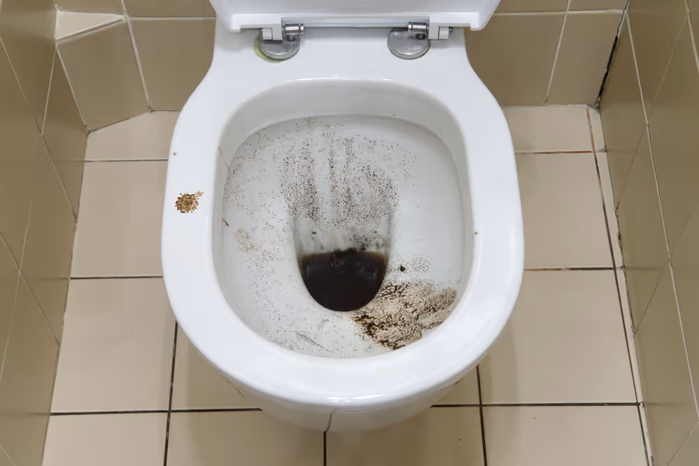 Clogged Toilet Repair - Rooter Pros