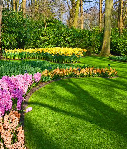 image of garden blueprints for a landscaping service