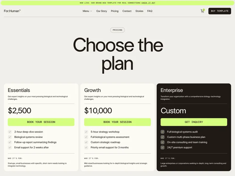 Pricing plans page with three options: Essentials $2,500 for 2-hour session and follow-up support; Growth $10,000 for 5-hour workshop and roadmap; Enterprise with custom pricing including full audit, consulting, and premium support.