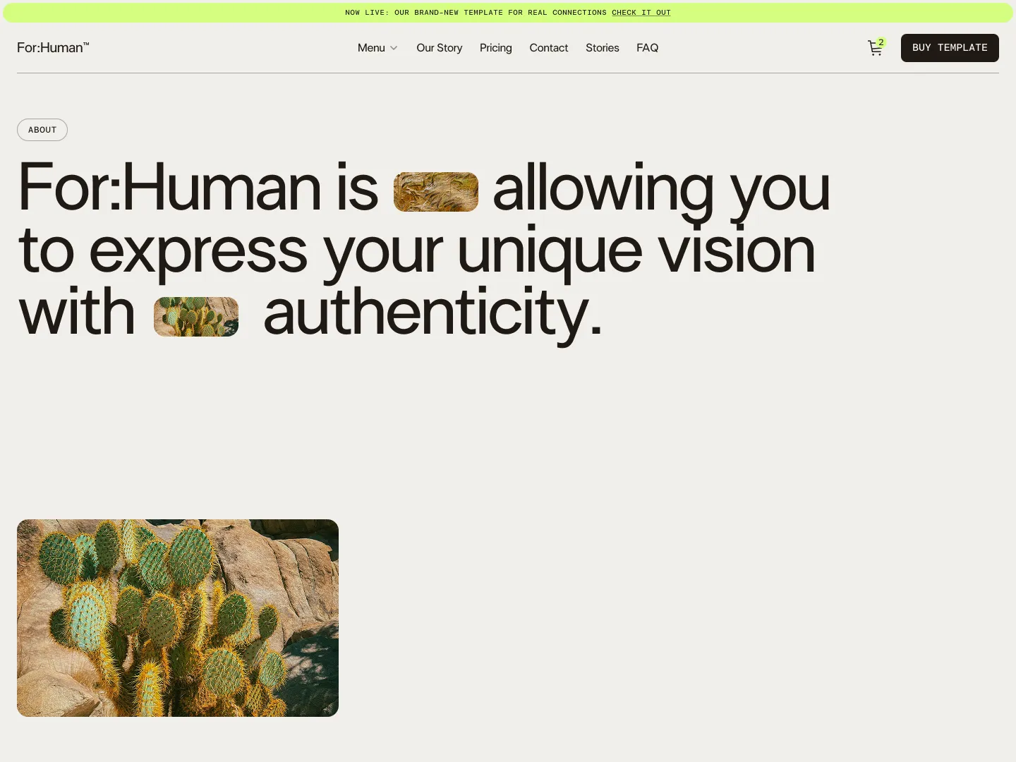 Website header with navigation and a message about For:Human expressing unique vision with authenticity, alongside images of dry grass and cactus.
