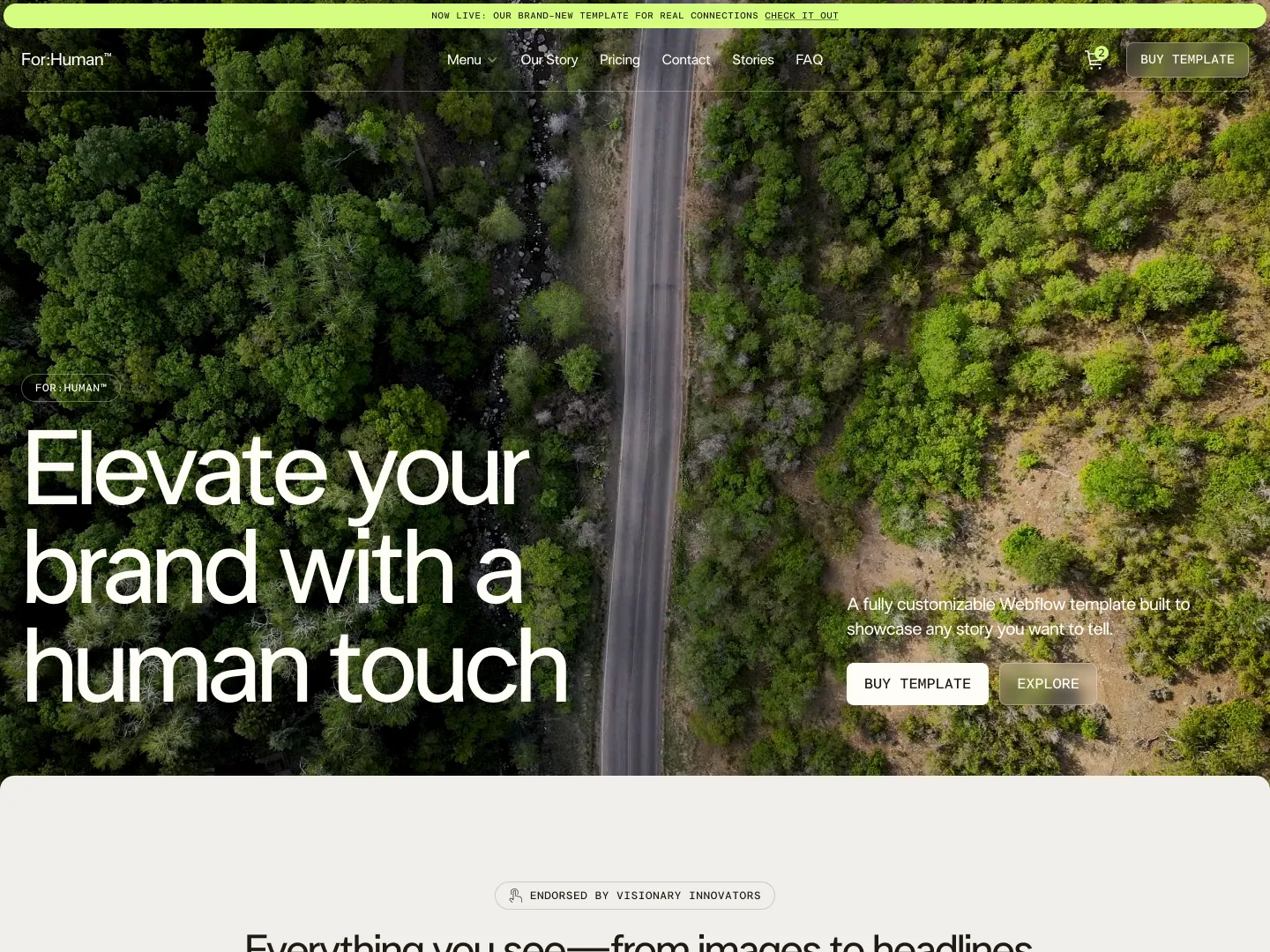 Aerial view of a winding road cutting through dense green forest and vegetation, with website text overlay promoting a customizable Webflow template.