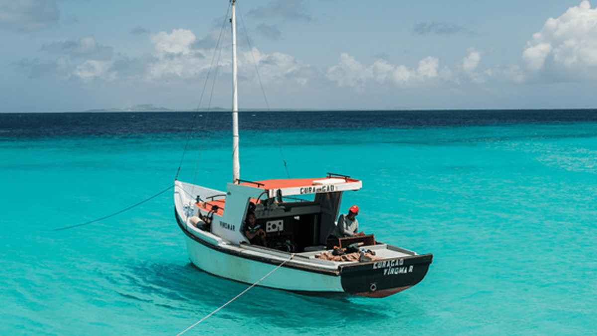 Placeholder 2 blog that we are using for testing in Webflow Copy