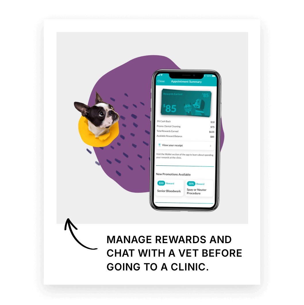 Phone showing the GoFetch app.