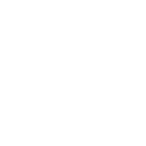 vena logo