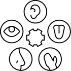 Icons representing hearing, vision, cognitive, speech, mobility, and physical disabilities arranged in a circular pattern.