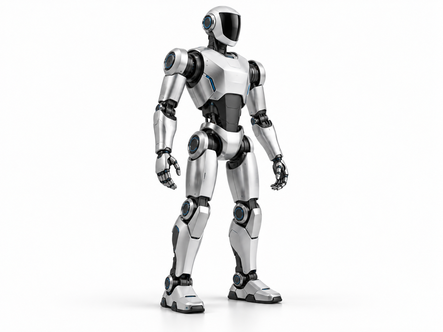 Humanoid robot application concept