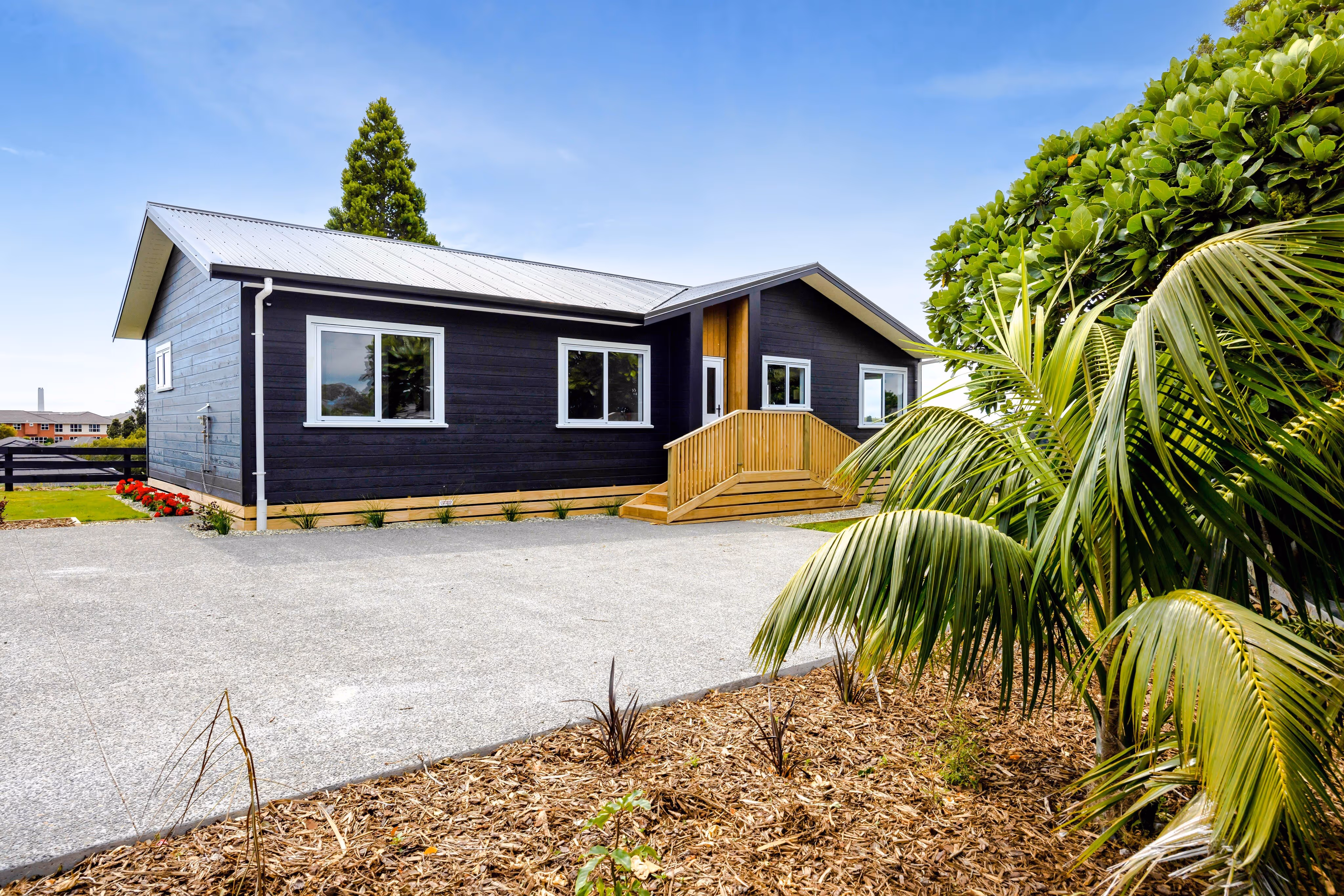 A modern looking black timber clad home with plants surrounding it.