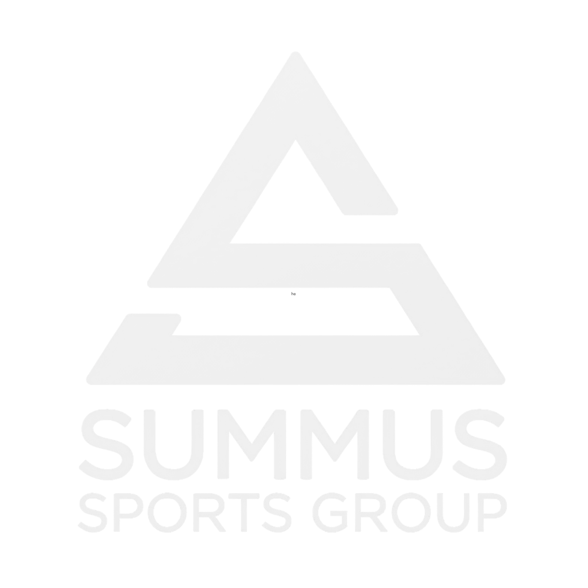 Summus Sports Group