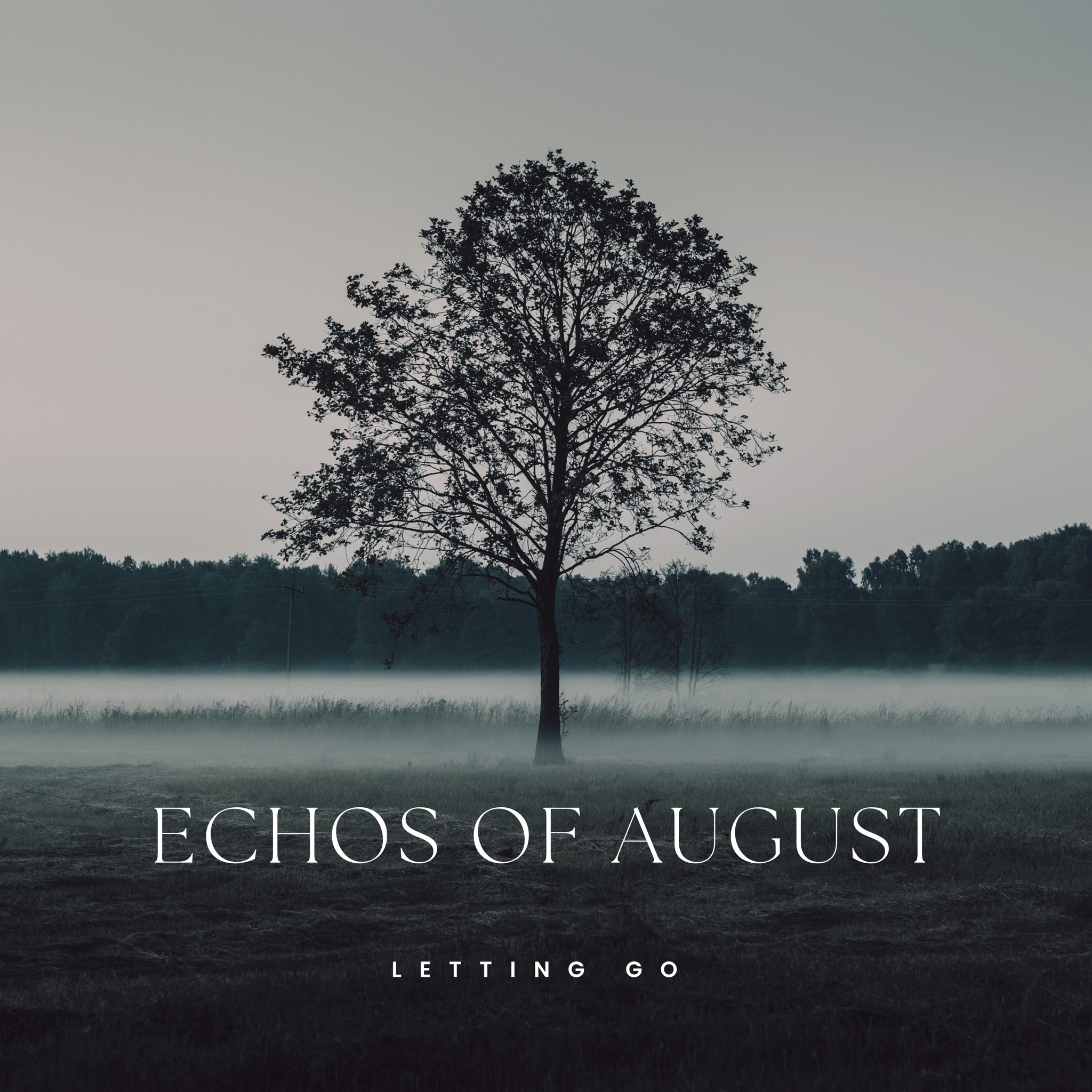 Echos of August