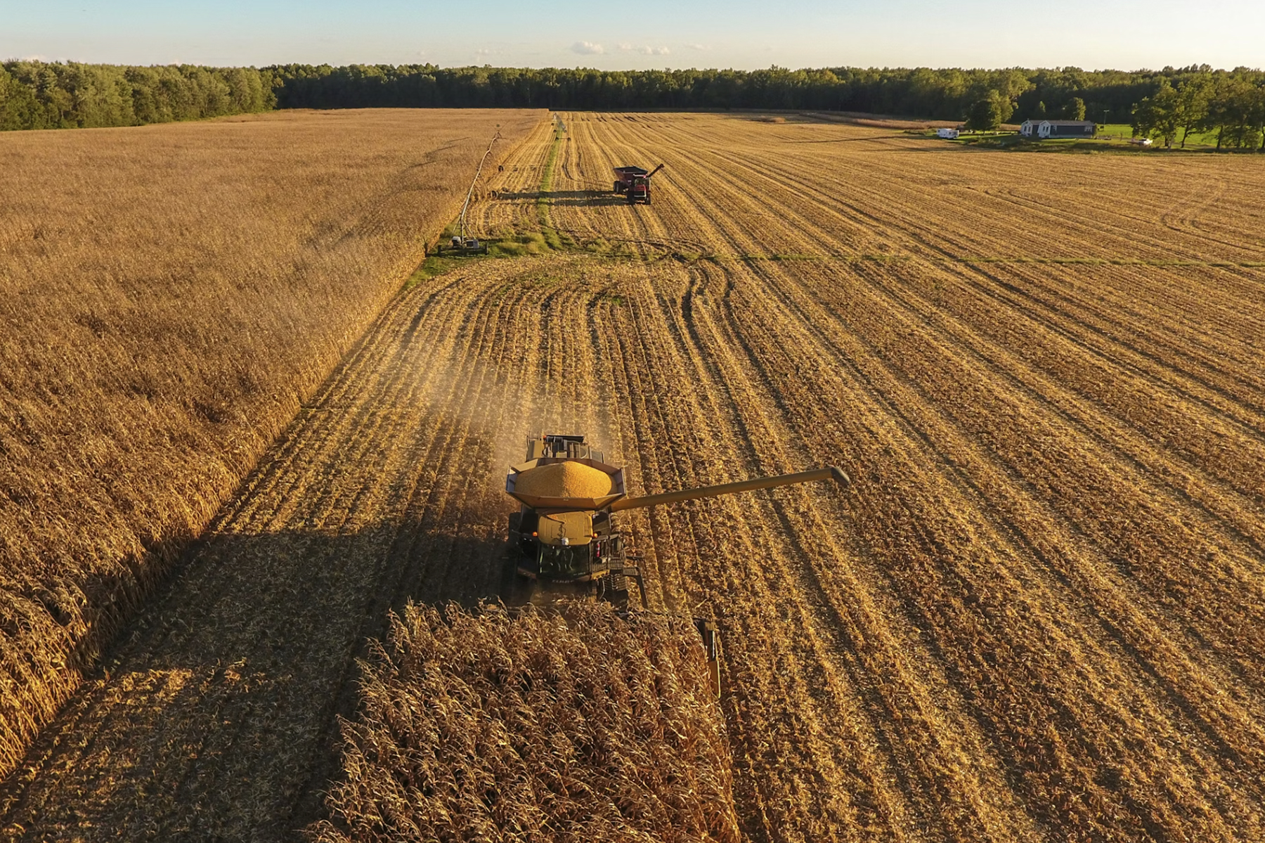 Agriculture supplies
