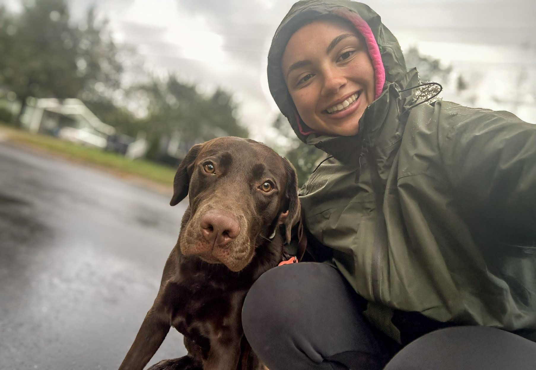 Trusted local pet sitter providing consistent in home care