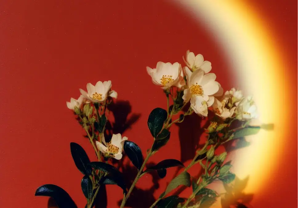 Work Thumbnail Image