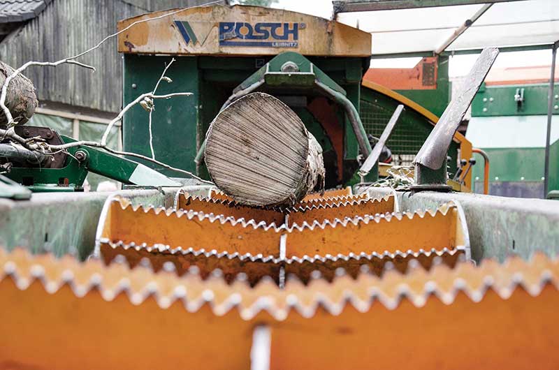Holzstamm auf einem Fördersystem mit gezahnten Rollen vor einer POSCH Holzbearbeitungsmaschine.