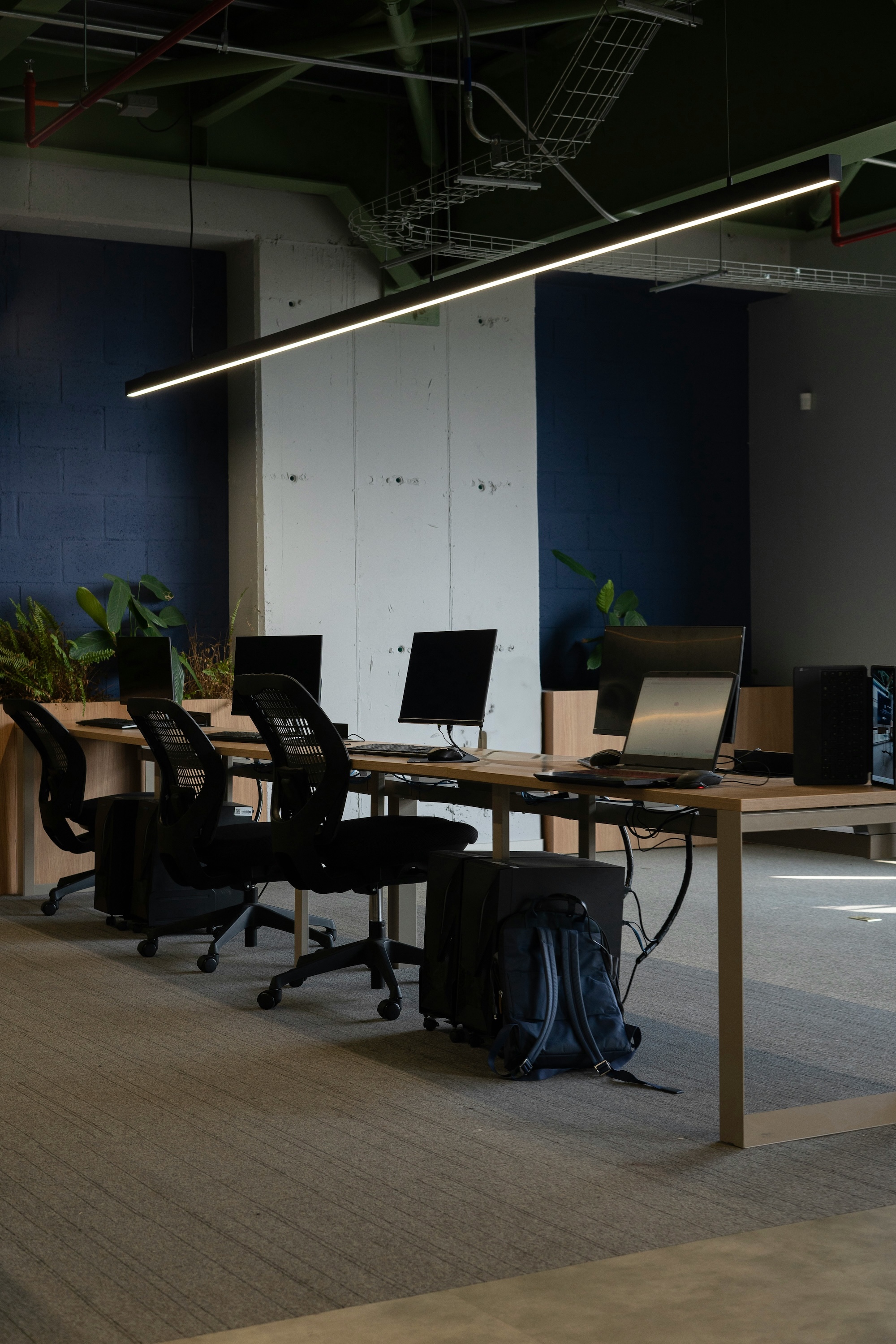 A modern office featuring a row of desktops and navy walls