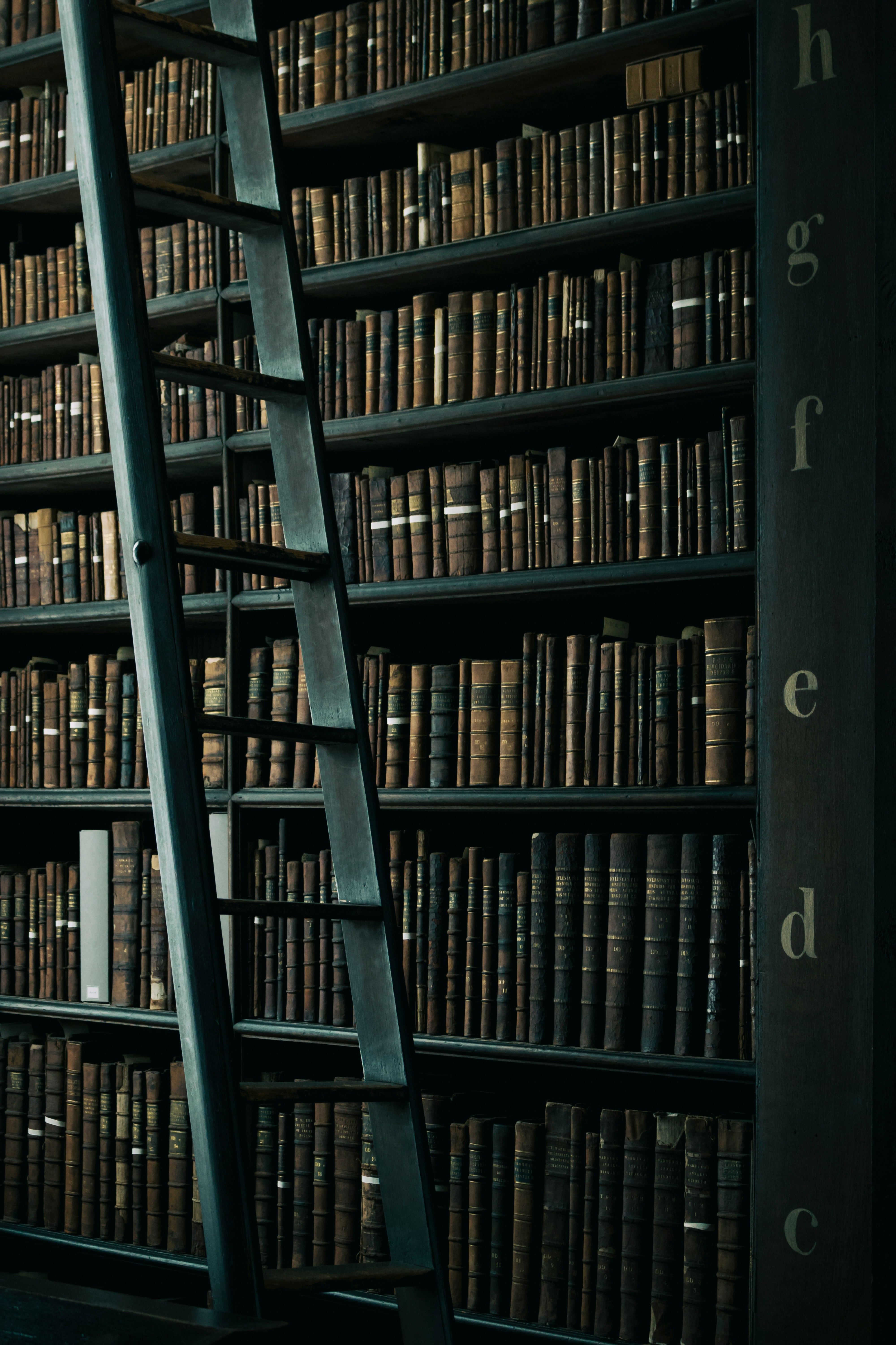 An extensive library of many shelves of old leatherbound books with a ladder