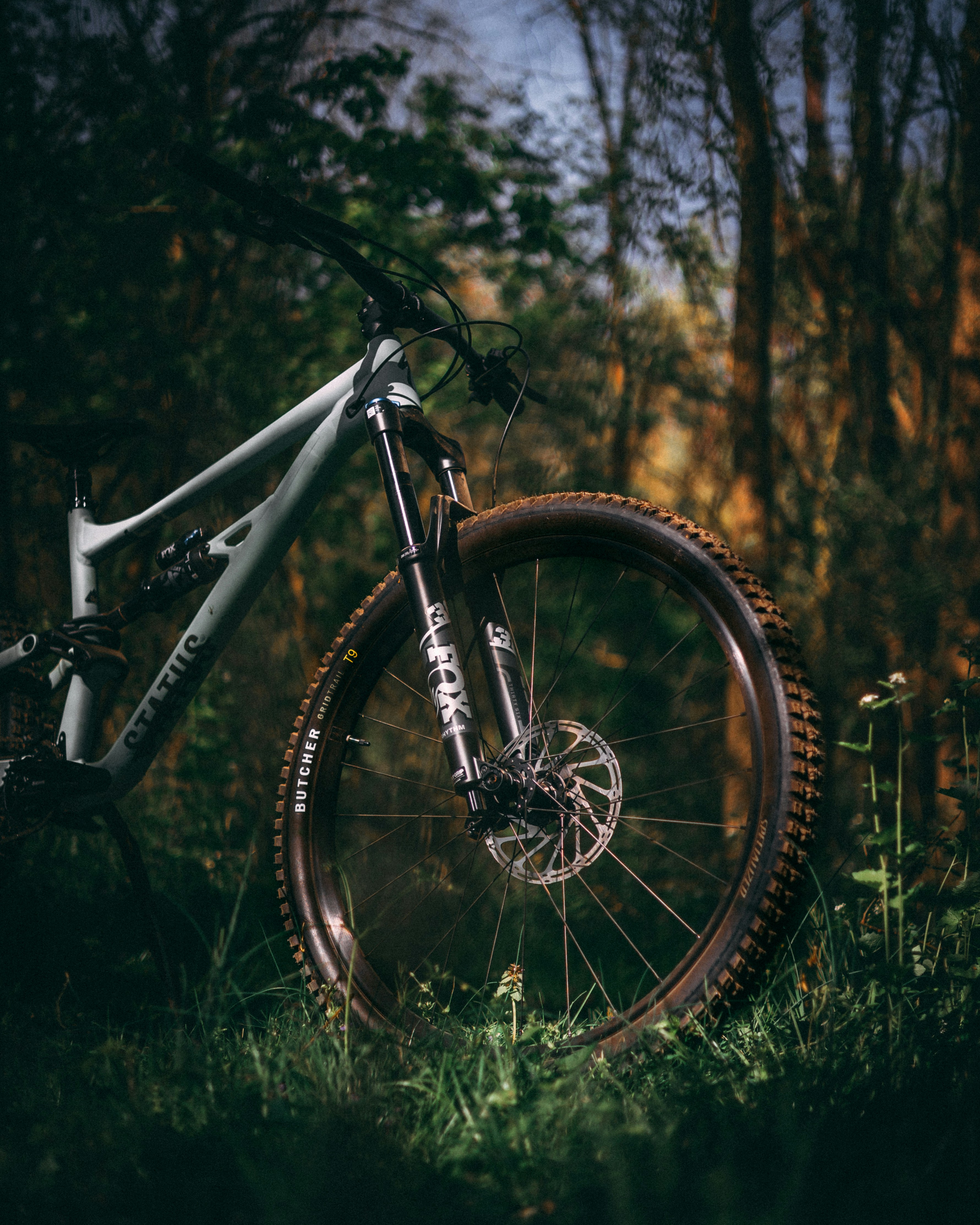 Status mountain bike positioned in a forest setting with Fox suspension forks