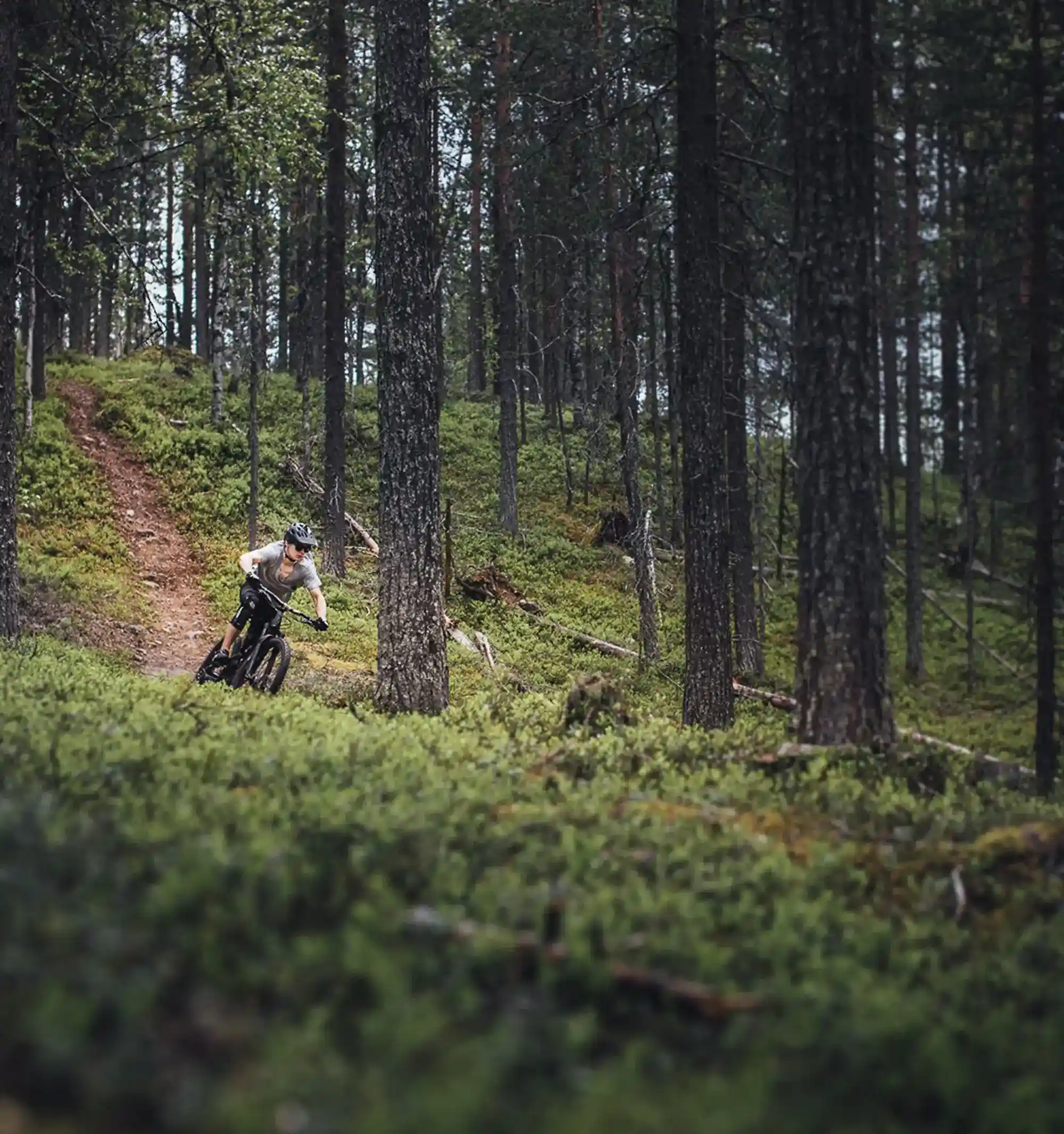Ein Mountainbiker fährt Downhill auf einem Single-Trail im Wald