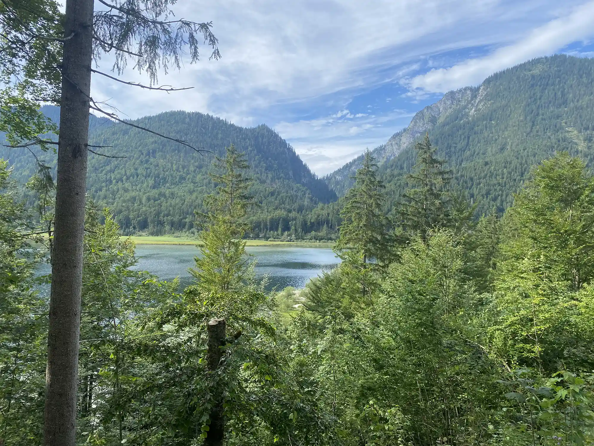 Bergsee in Tirol zwischen Bäumen und Gipfeln.