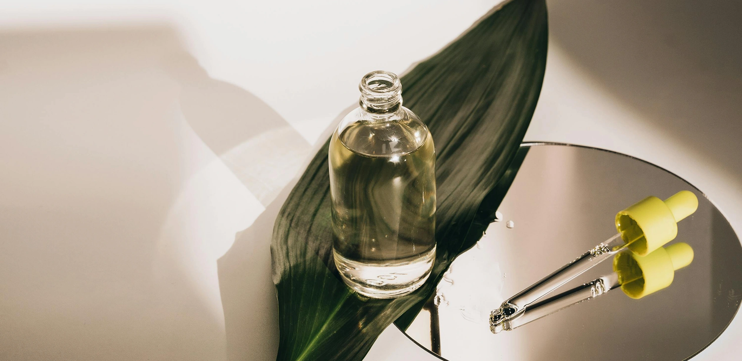 Project Banner Image