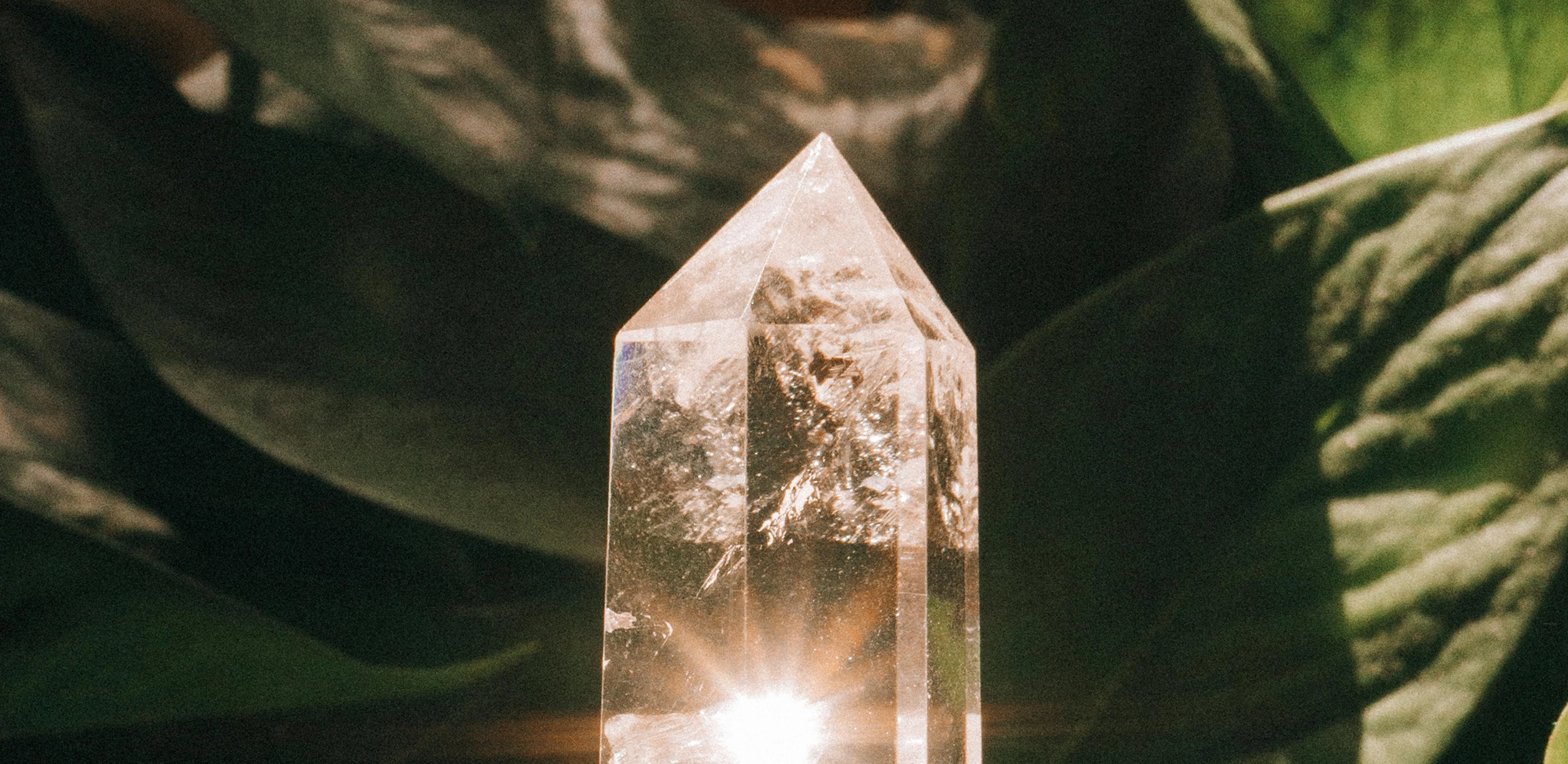 Project Banner Image