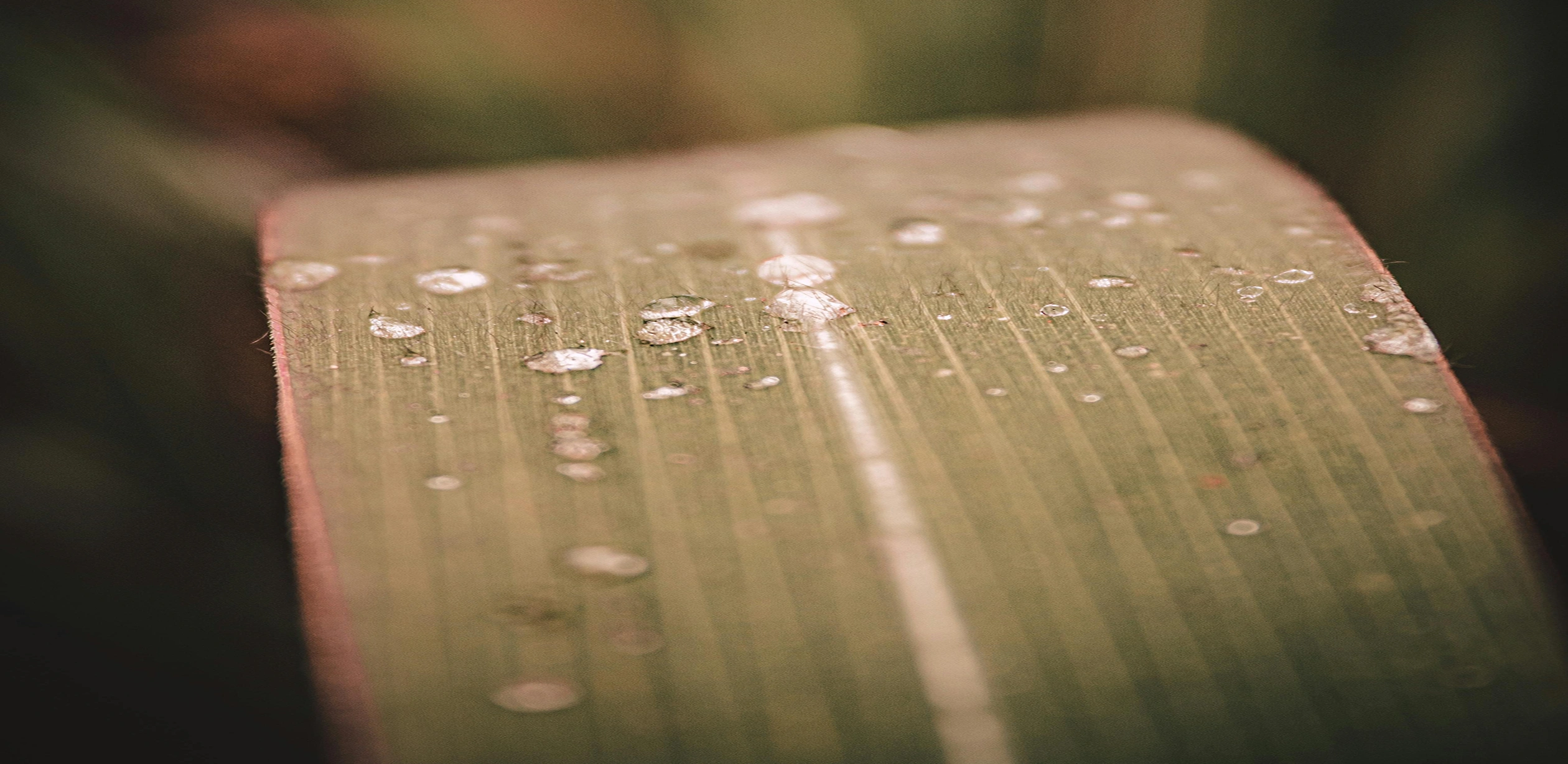 Project Banner Image