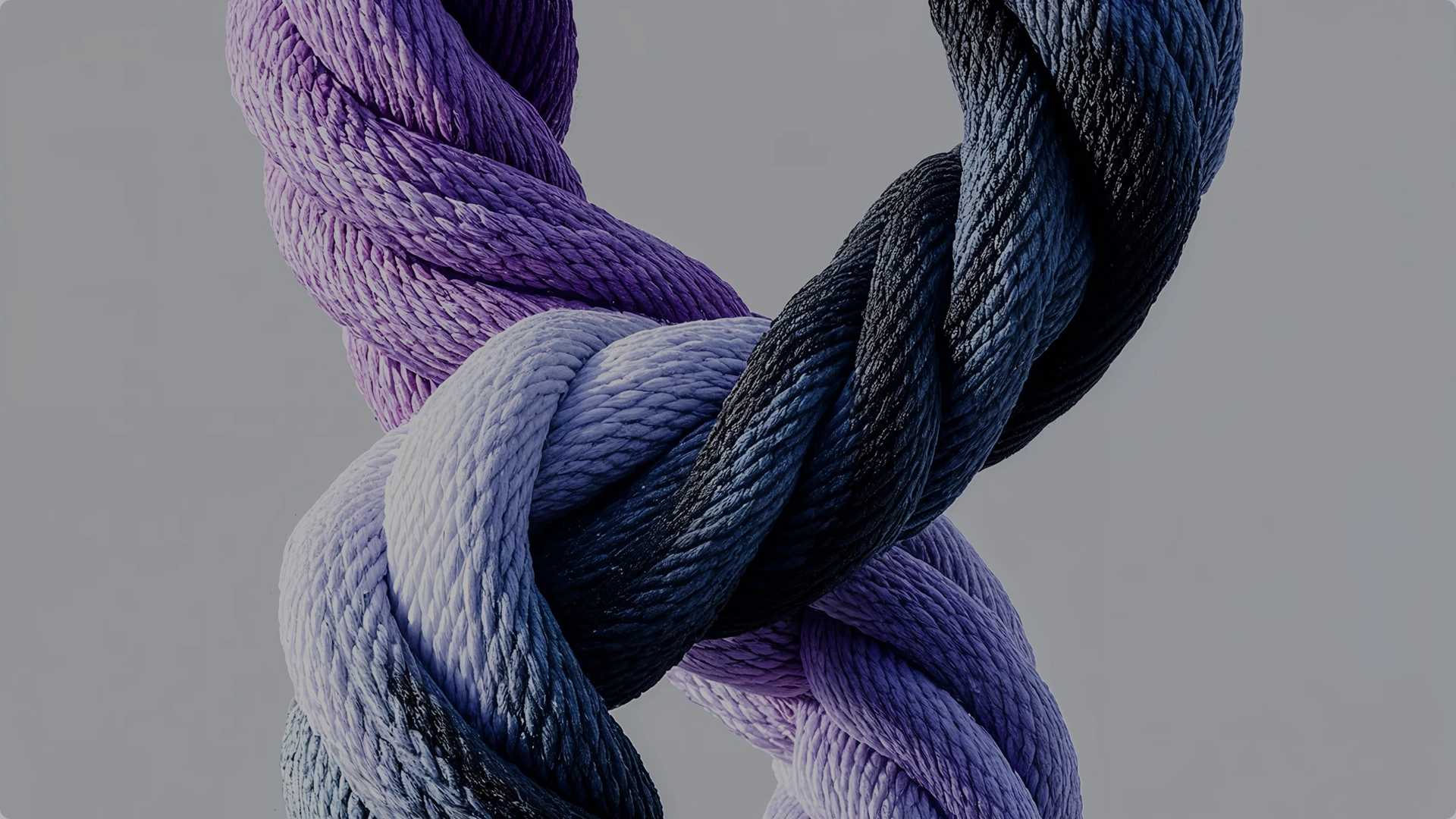 Project V1 Item Image