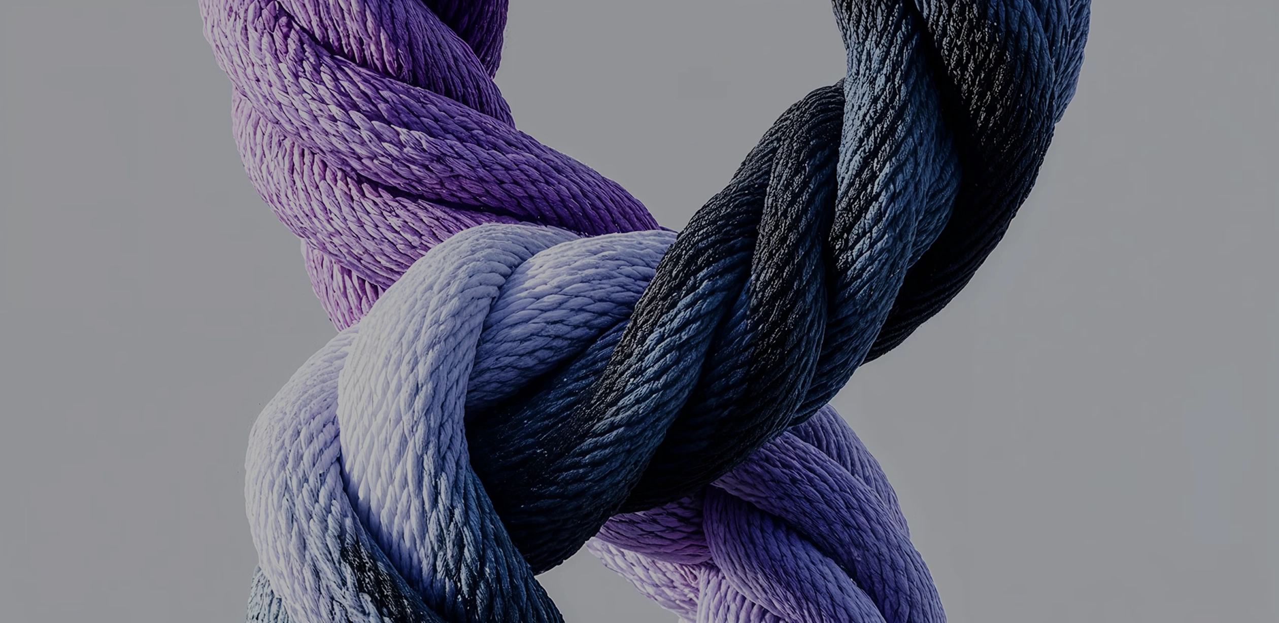 Project Banner Image