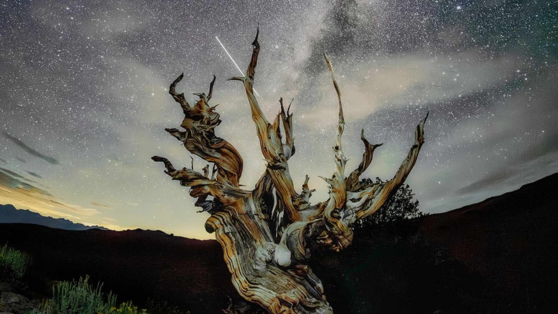 Project V1 Item Image