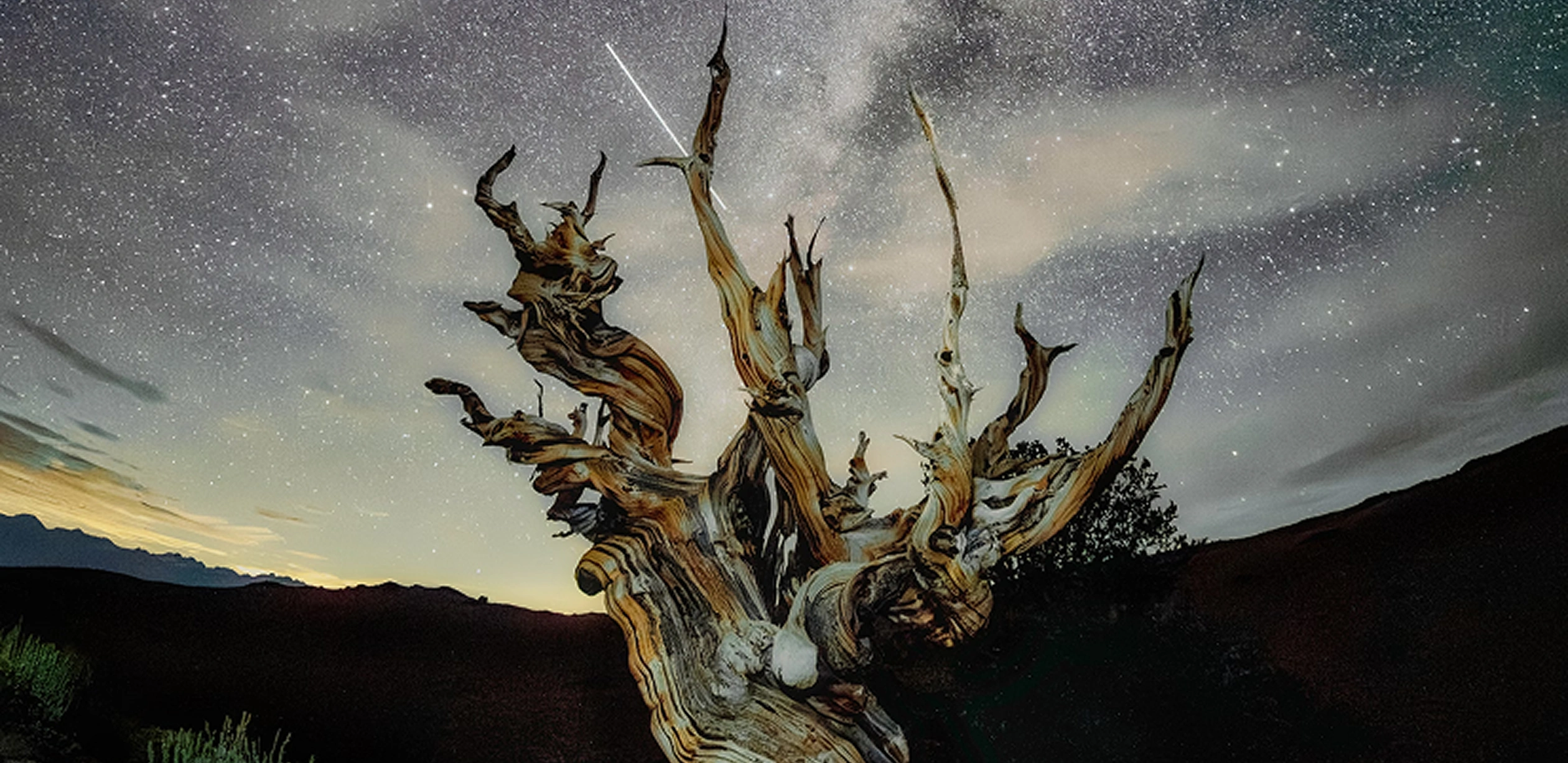 Project Banner Image