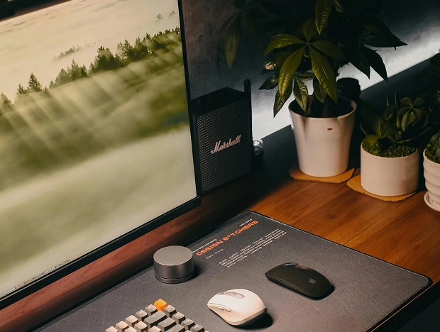 Project V1 Card Image