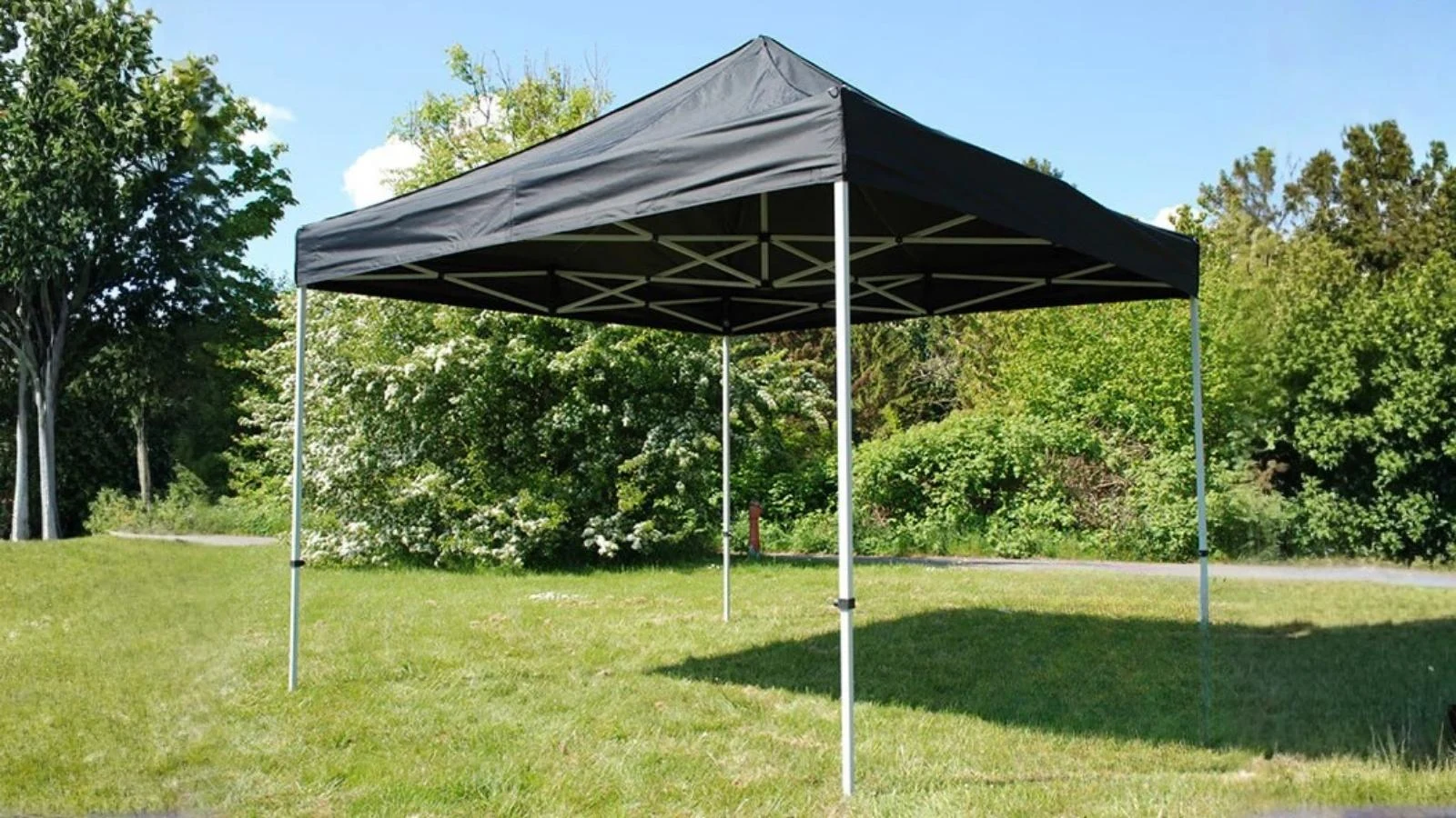 Schwarzer Partyzelt Pavillon 3x3m als Easy-Up aufgebaut auf einer Wiese vor Bäumen.